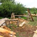 DSCN0870